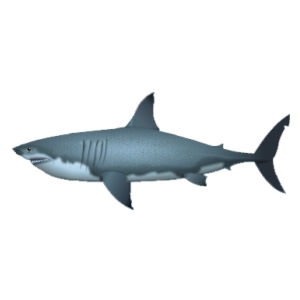 Great White Shark (Reboot)